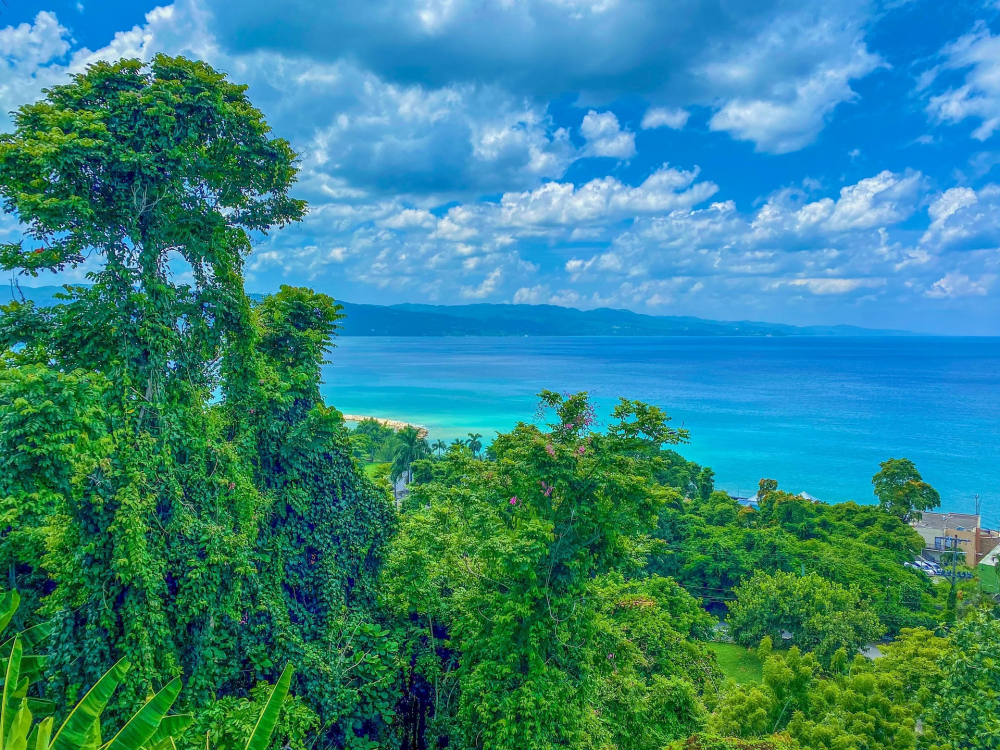 Blue Lagoon – Tropisch Meer & Jungle, Jamaica