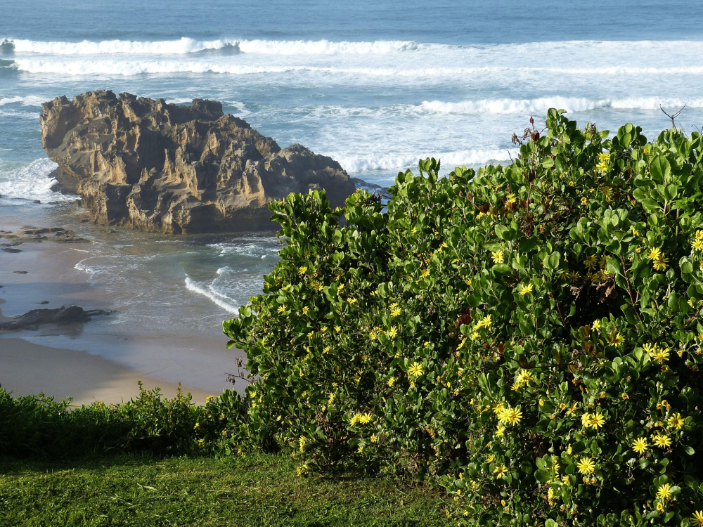 Garden Route – Roadtrip Zuid-Afrika van Mossel Bay tot Tsitsikamma