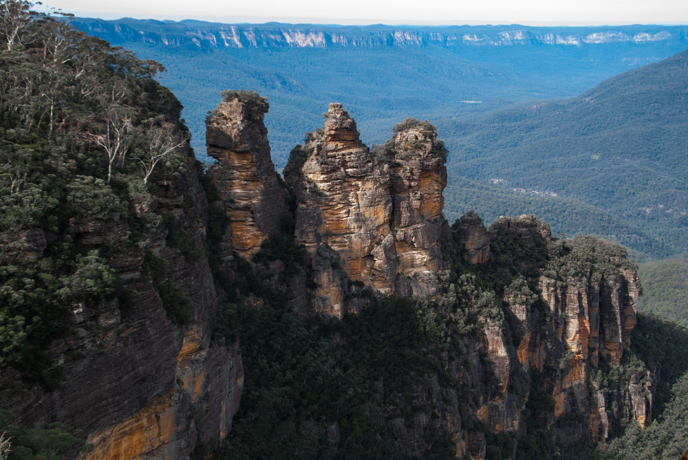 Blue Mountains – Kliffen & Eucalyptusbossen, Australië