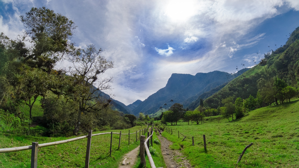 Cocora Valley – Waspalmen & Koffieregio in Colombia