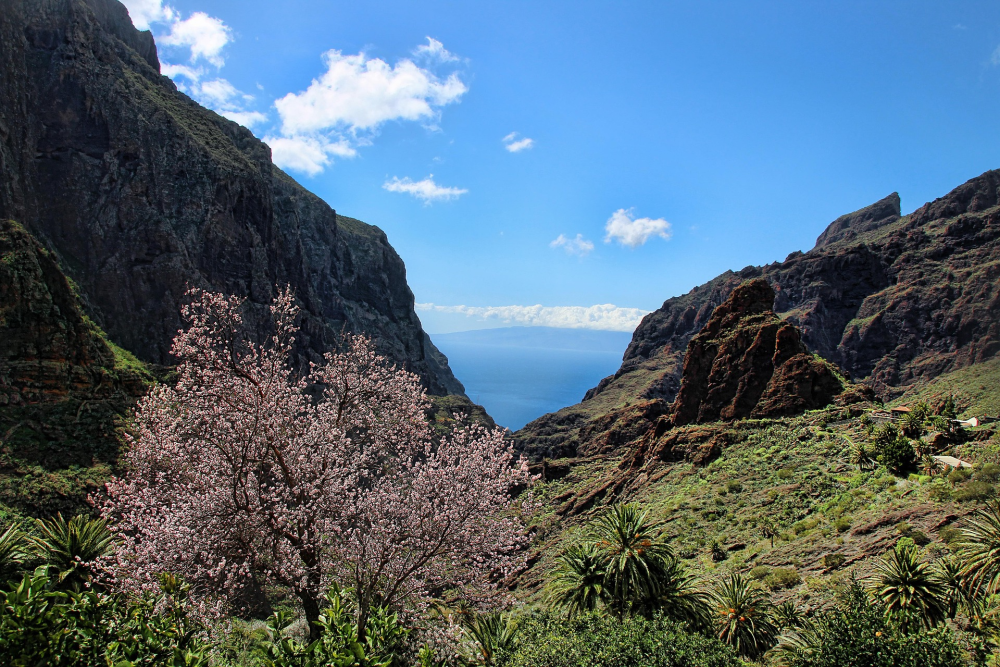 Masca Valley – Bergdorp & Kloof op Tenerife, Canarische Eilanden