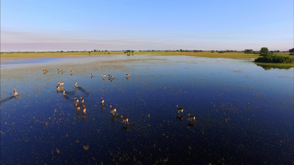 Okavango Delta – Binnenlandse Delta, Botswana