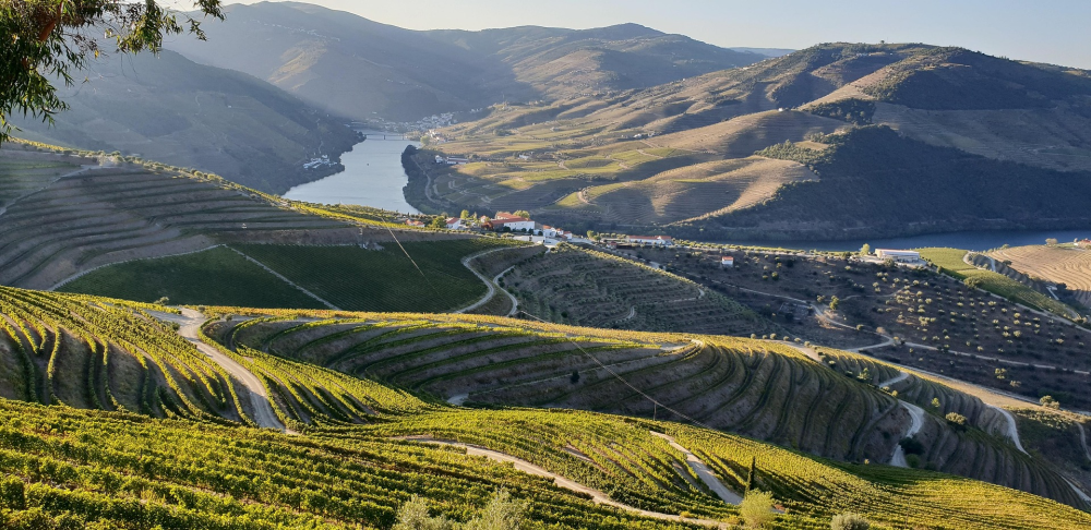 Douro Vallei – Wijngebied & Landschappen, Portugal