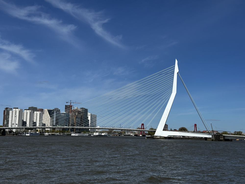 Erasmusbrug – Iconische Brug van Rotterdam, Nederland