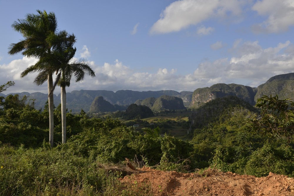 Viñales Vallei – Tabakslandschap, Cuba
