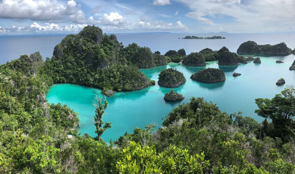 Raja Ampat – West-Papoea, Indonesië