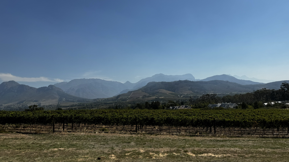 Franschhoek – Wijnvallei & Bergen, Zuid-Afrika