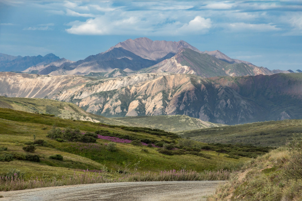 Denali National Park – Alaska, Verenigde Staten