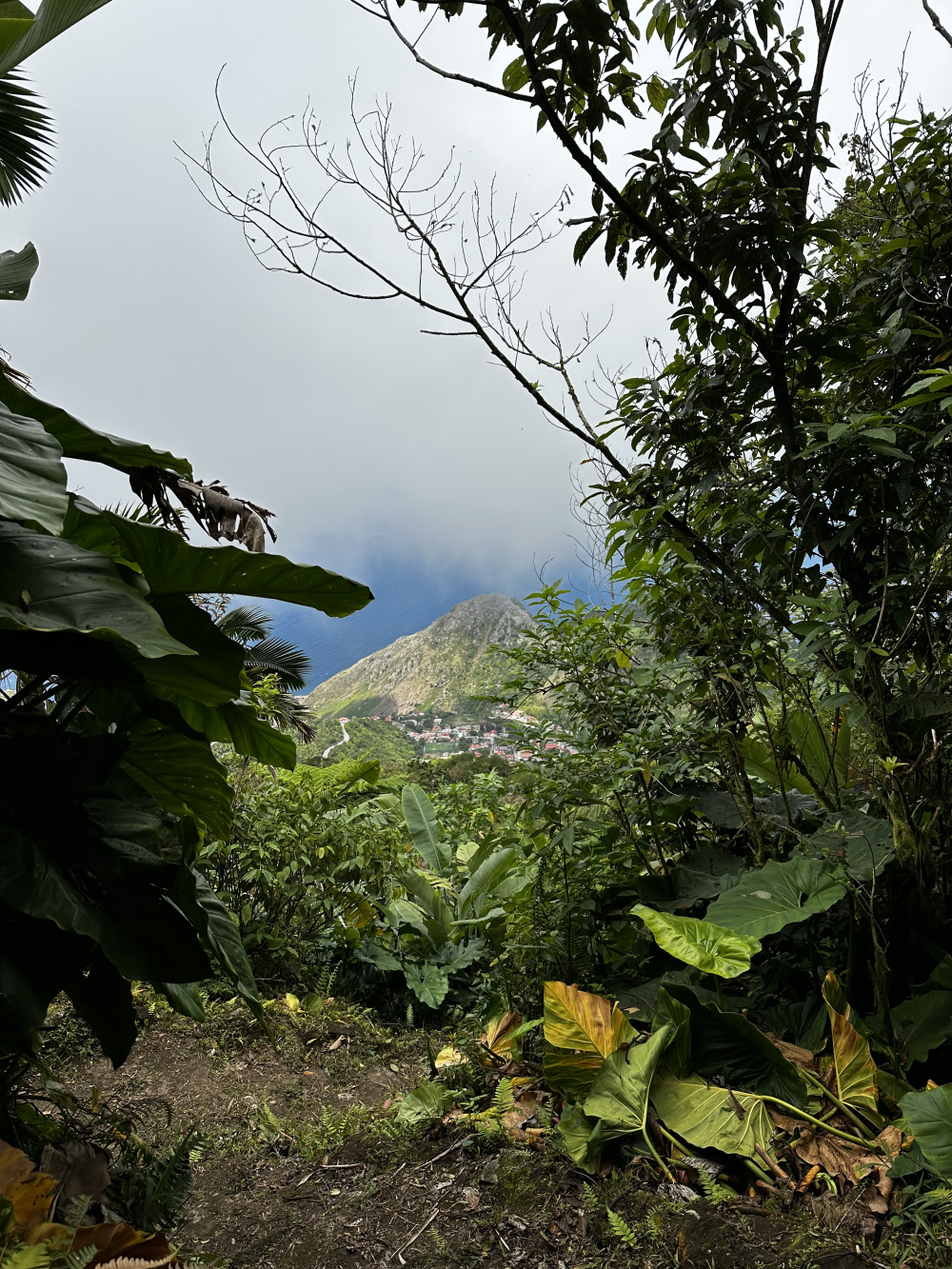 Saba – Vulkanisch Eiland & Hikes, Cariben