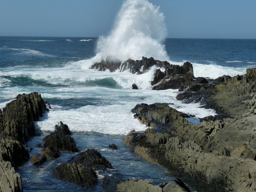 Mossel Bay – Startpunt van de Garden Route, Zuid-Afrika