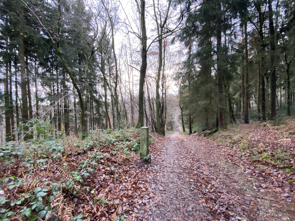 Vaalserberg – Hoogste Punt van Nederland, Nederland