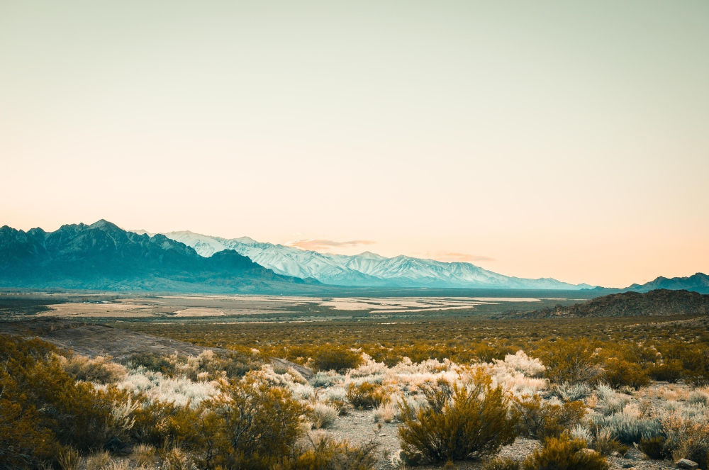 Mendoza – Wijnregio van Argentinië & Andes Uitzicht