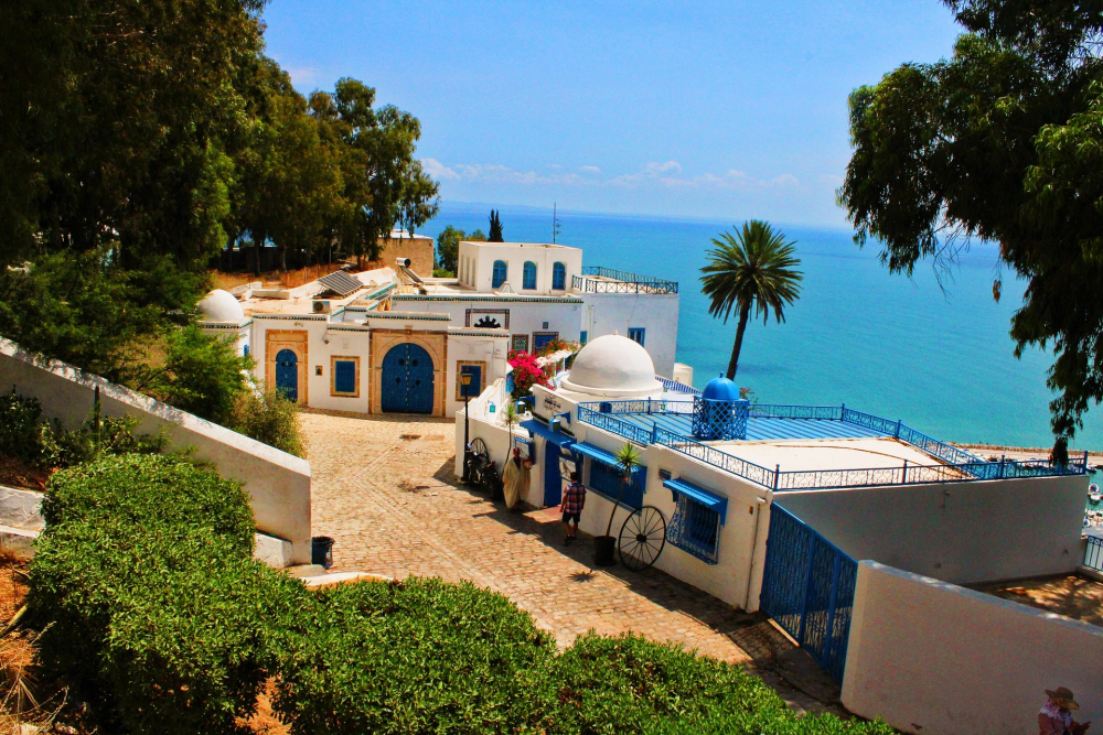 Sidi Bou Said – Witte Huizen & Blauwe Deuren in Tunesië