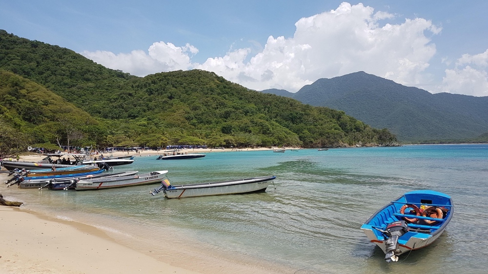 Tayrona National Park – Jungle & Strand, Colombia