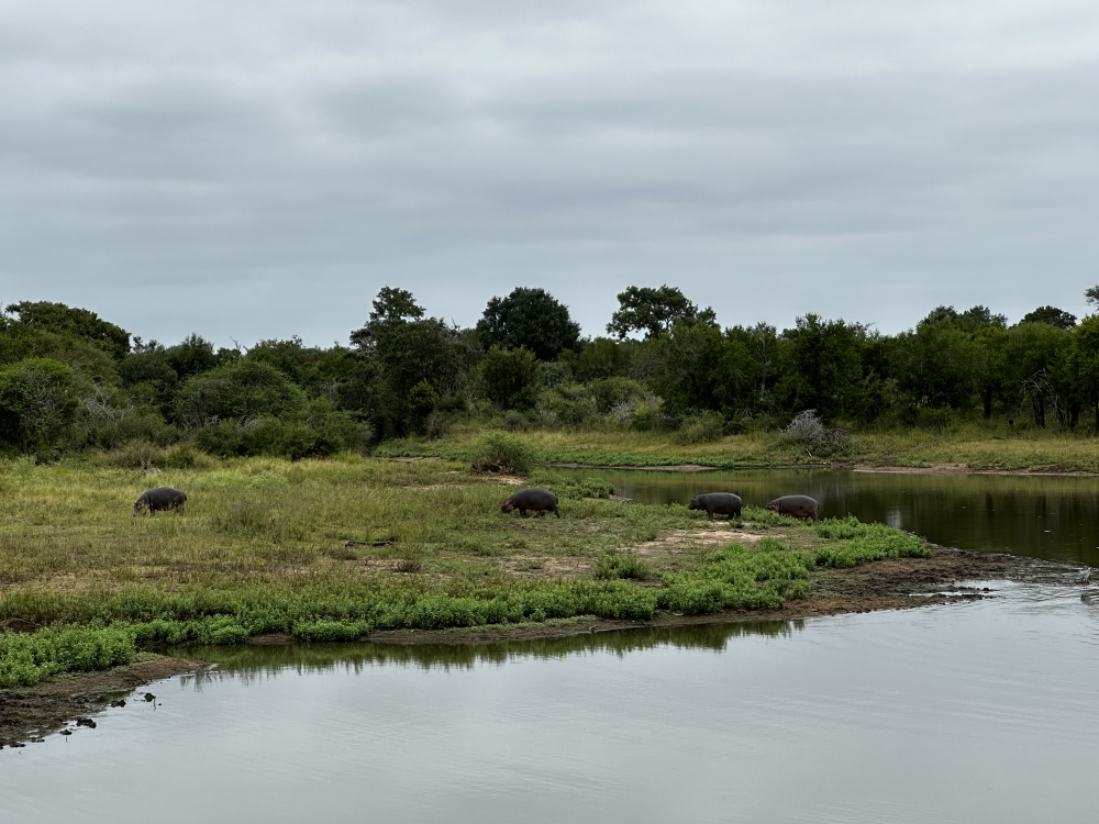 Skukuza & Sabie River – Kruger National Park, Zuid-Afrika