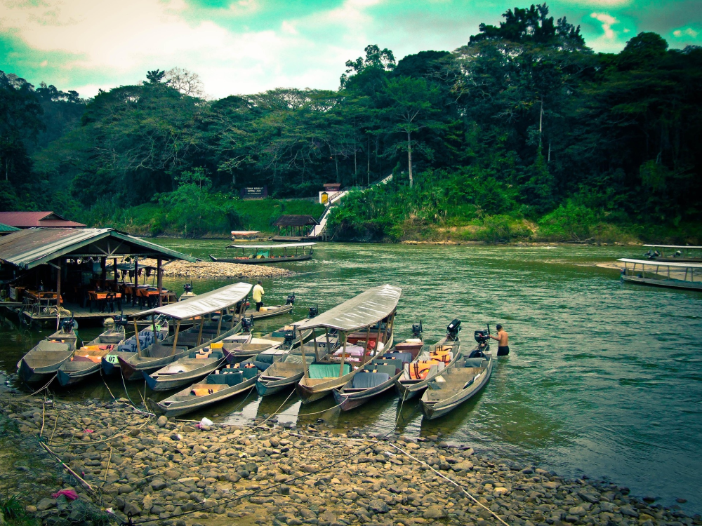 Taman Negara – Regenwoud & Jungle in Maleisië