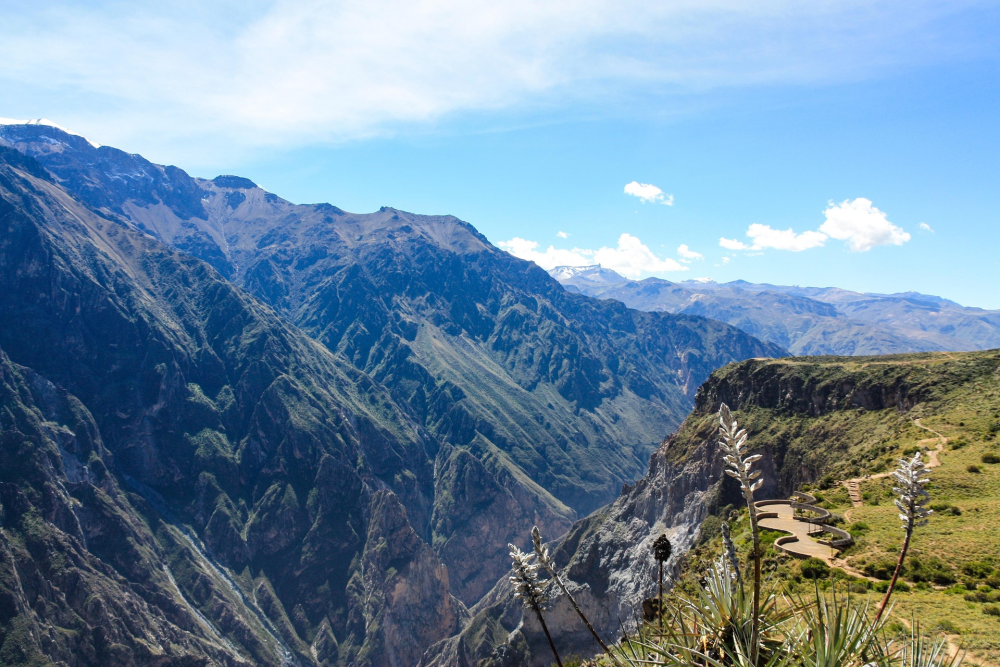 Colca Canyon – Condors & Canyonlandschap, Peru