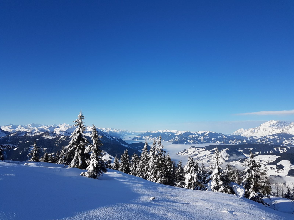 Flachau – Wintersportgebied in Salzburgerland, Oostenrijk