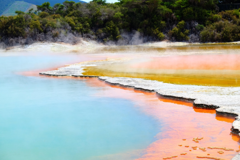 Rotorua Geothermal Valley – Noordereiland, Nieuw-Zeeland