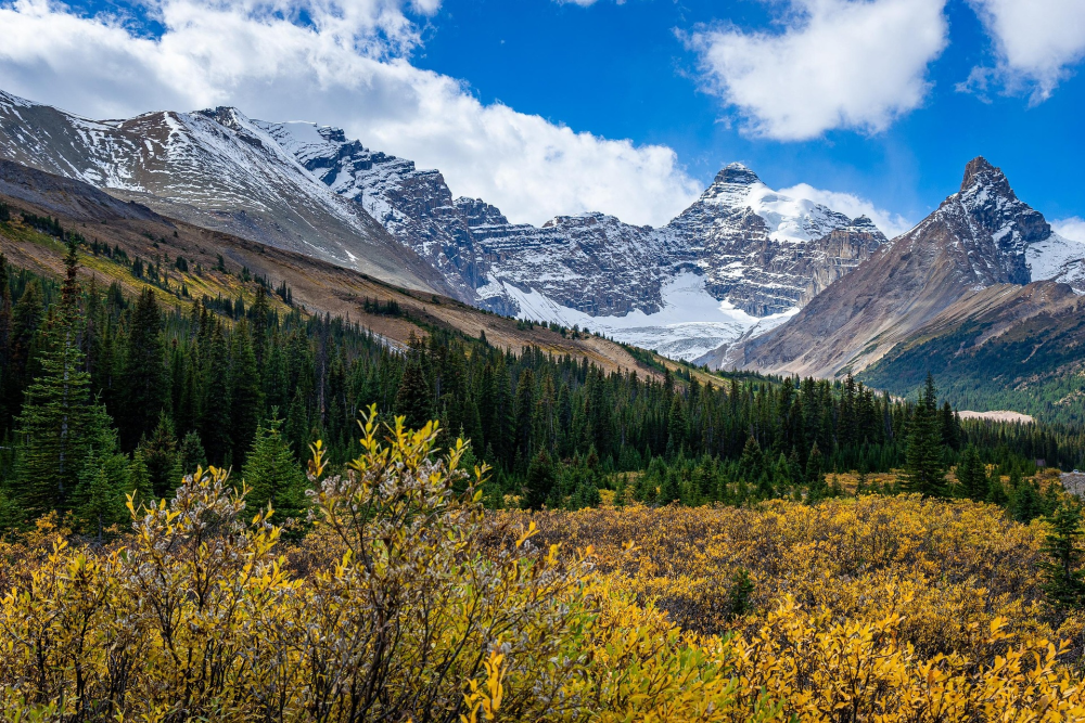 Icefields Parkway – Alberta, Canada