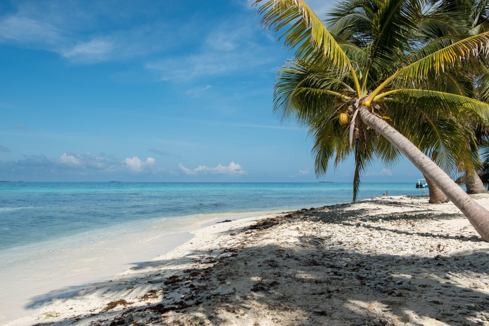Caye Caulker – Caraïbisch Eiland, Belize