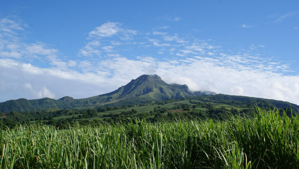 Mont Pelée – Vulkaan & Hike, Martinique