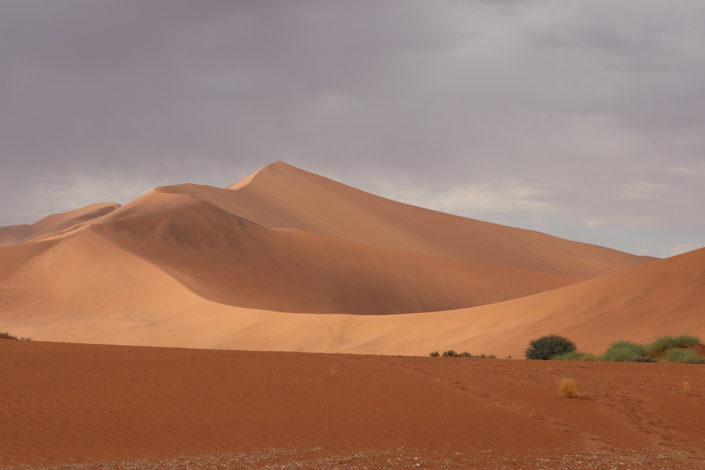 Sossusvlei – Namibwoestijn, Namibië