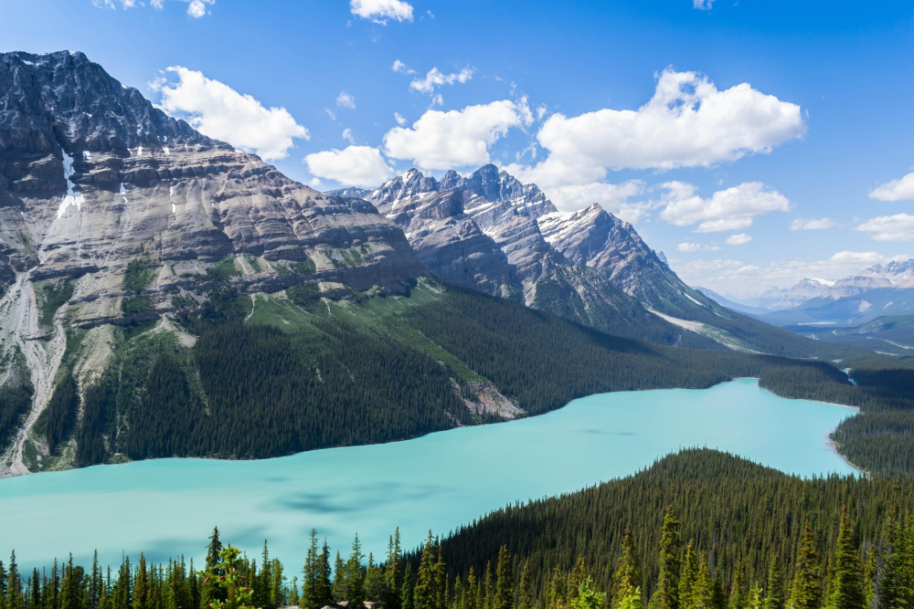 Peyto Lake – Alberta, Canada