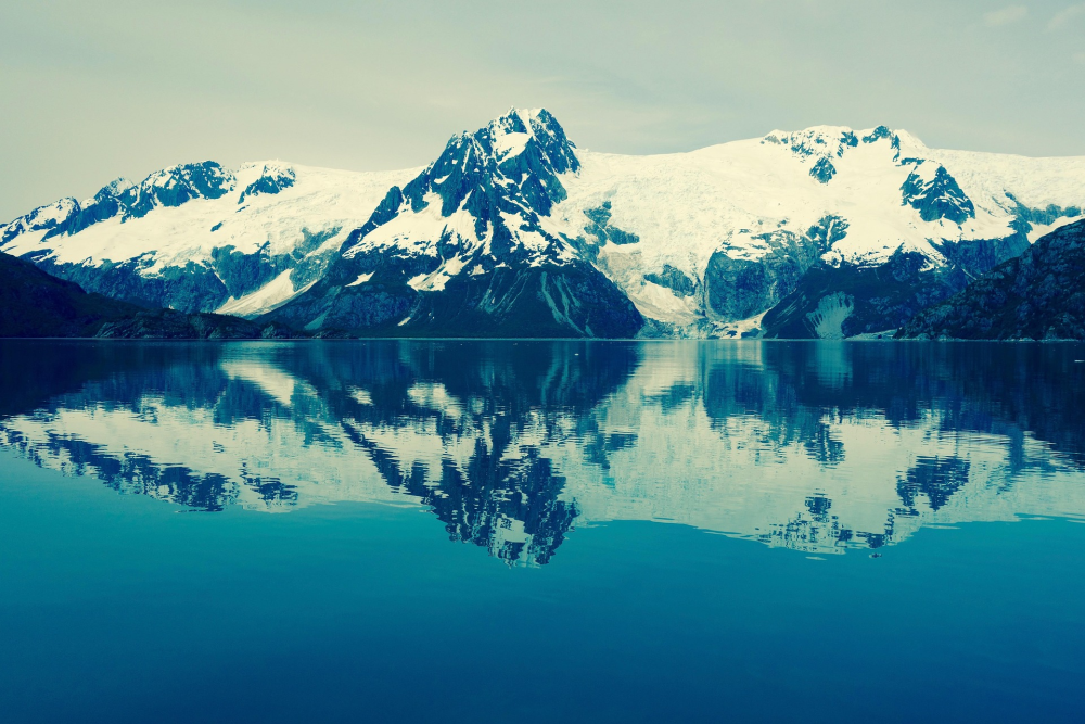 Kenai Fjords – Gletsjers & Wildlife in Alaska