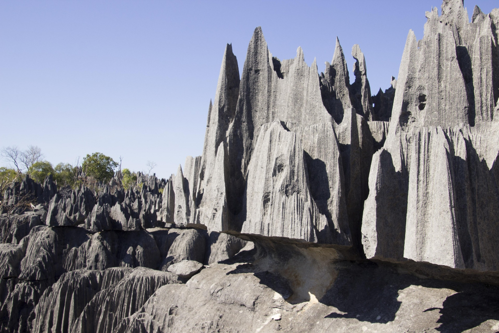 Tsingy de Bemaraha – Kalkstenen Rotswoud, Madagaskar