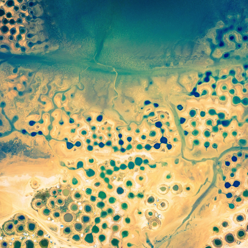 Saloum Delta – Mangroves & Winterzon in Senegal