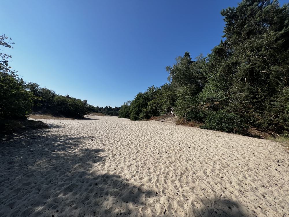 Nationaal Park De Loonse en Drunense Duinen – Zandduinen & Natuur, Nederland