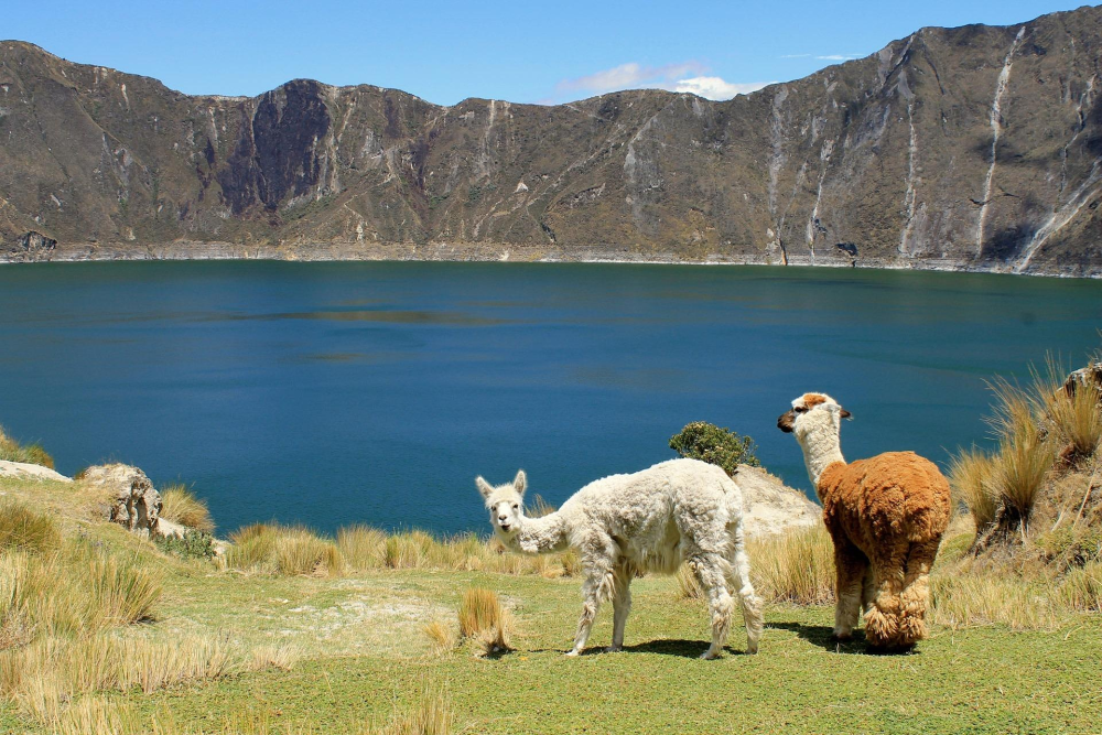 Quilotoa – Kratermeer & Vulkanische Hike, Ecuador